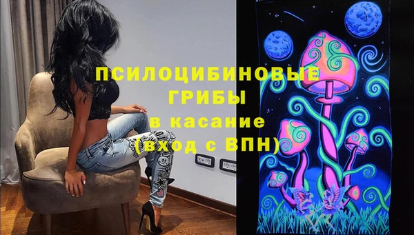 PSILOCYBIN Богданович